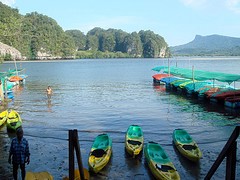 kayaks in bay